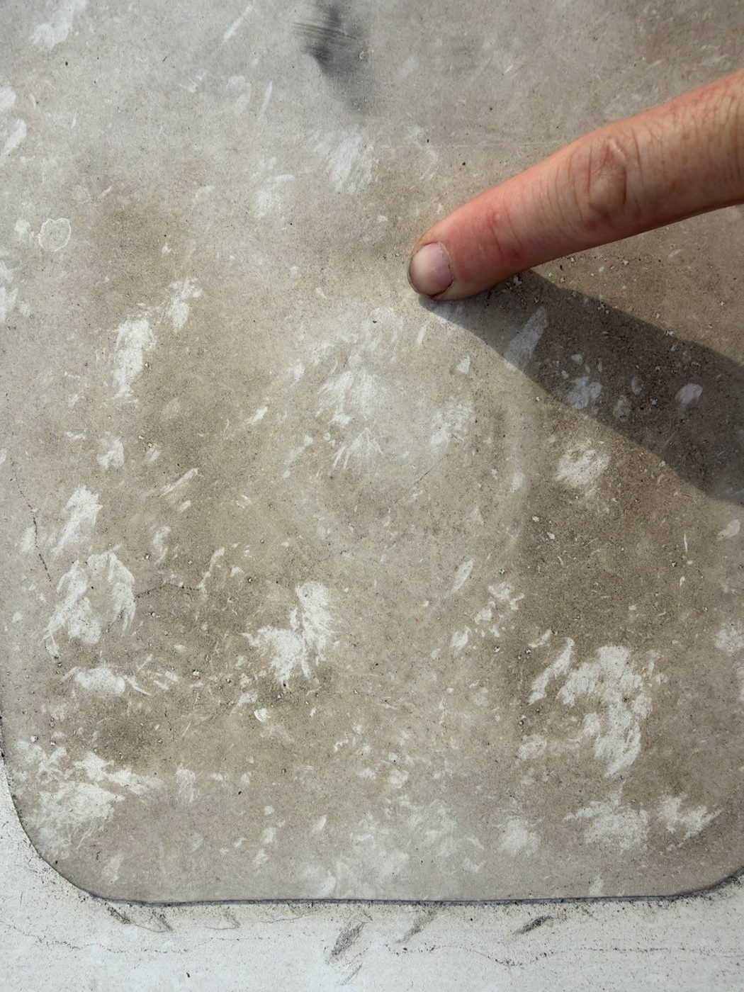 Hail bruising found under a TPO membrane test cut.